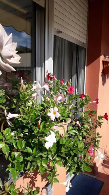 La Casa Di Teri A Chiavari Zewnętrze zdjęcie