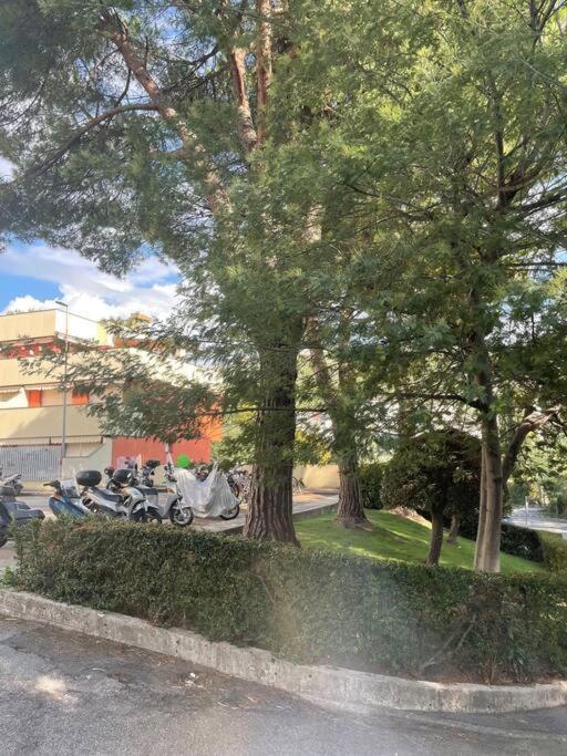 La Casa Di Teri A Chiavari Zewnętrze zdjęcie