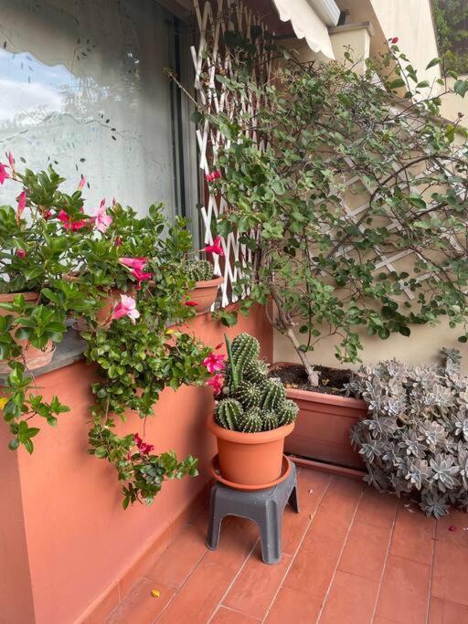 La Casa Di Teri A Chiavari Zewnętrze zdjęcie